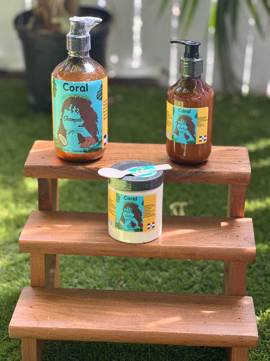 Back to School Sale 3 kit